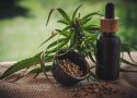 Quelles sont les différentes manières d’utiliser du CBD ?