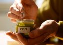 Huile, fleurs ou gélules : comment choisir son CBD ?